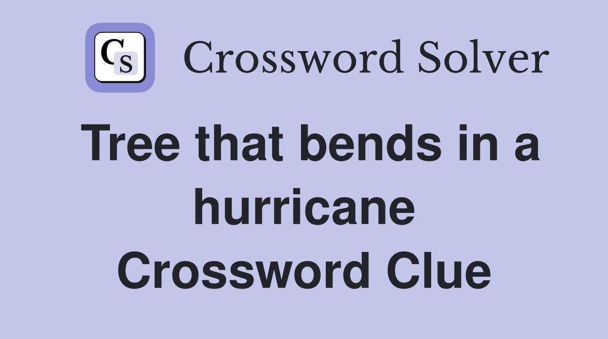 Tree that bends in a hurricane Crossword Clue