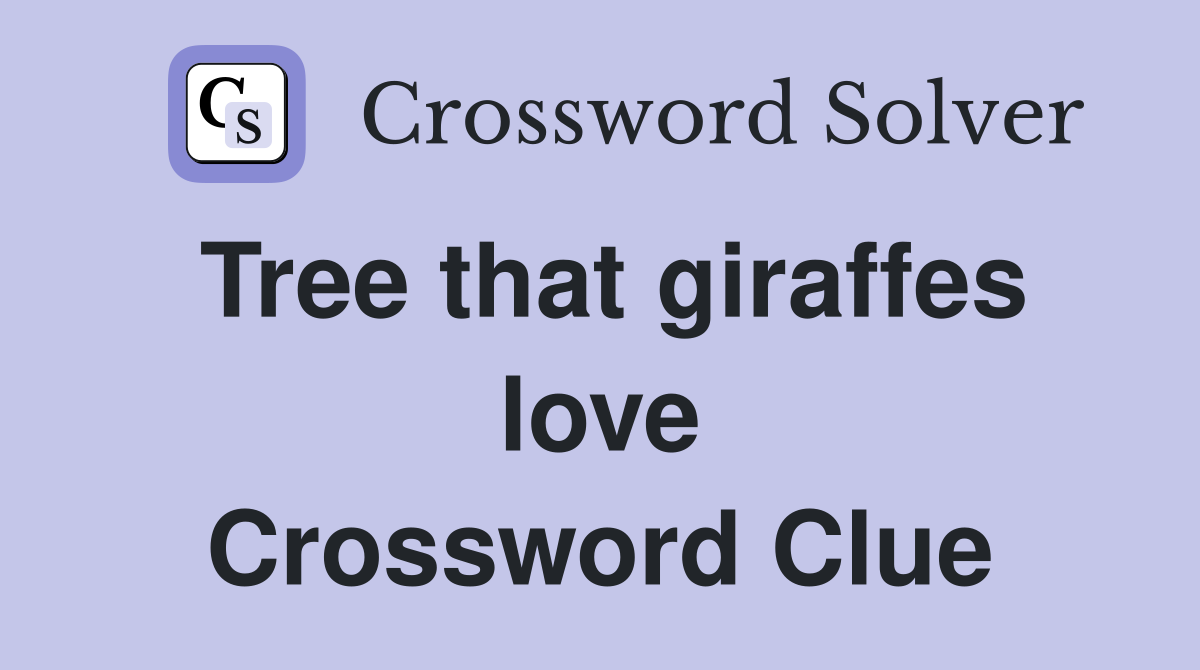 Tree that giraffes love Crossword Clue