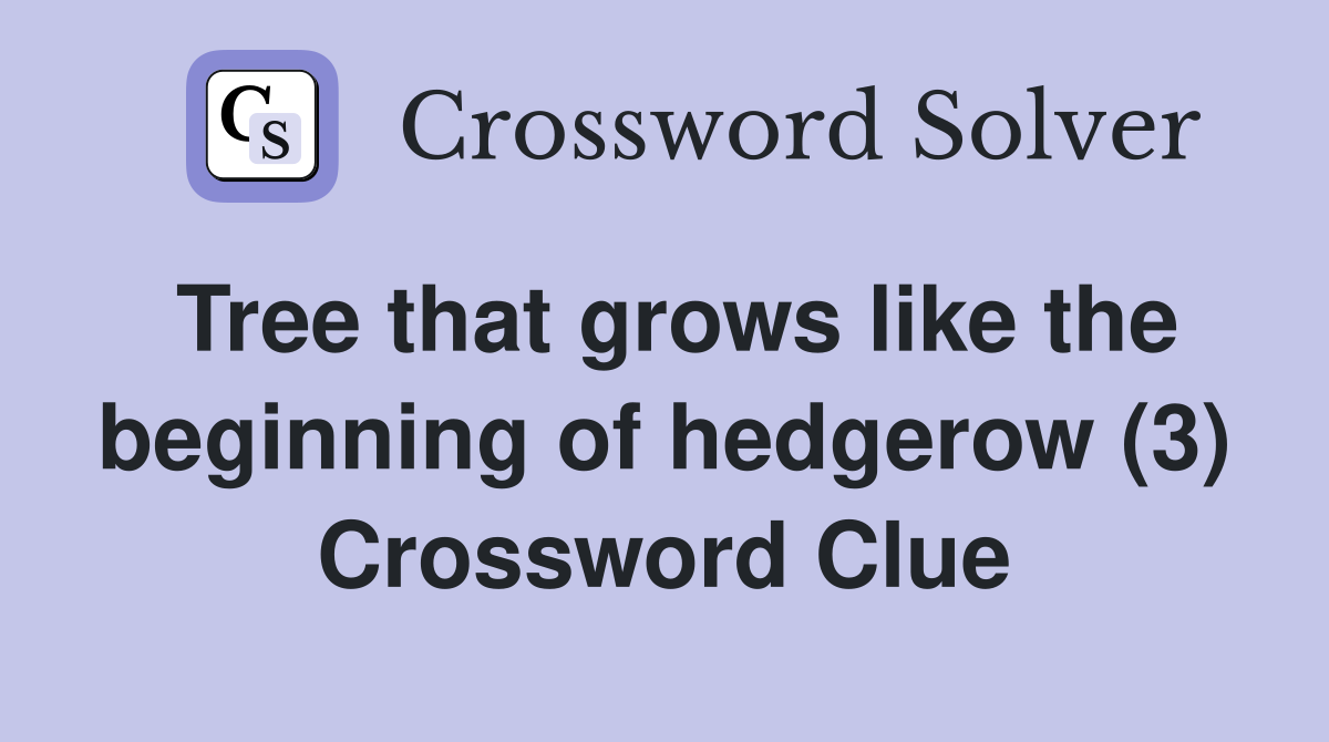 Tree that grows like the beginning of hedgerow (3) Crossword Clue