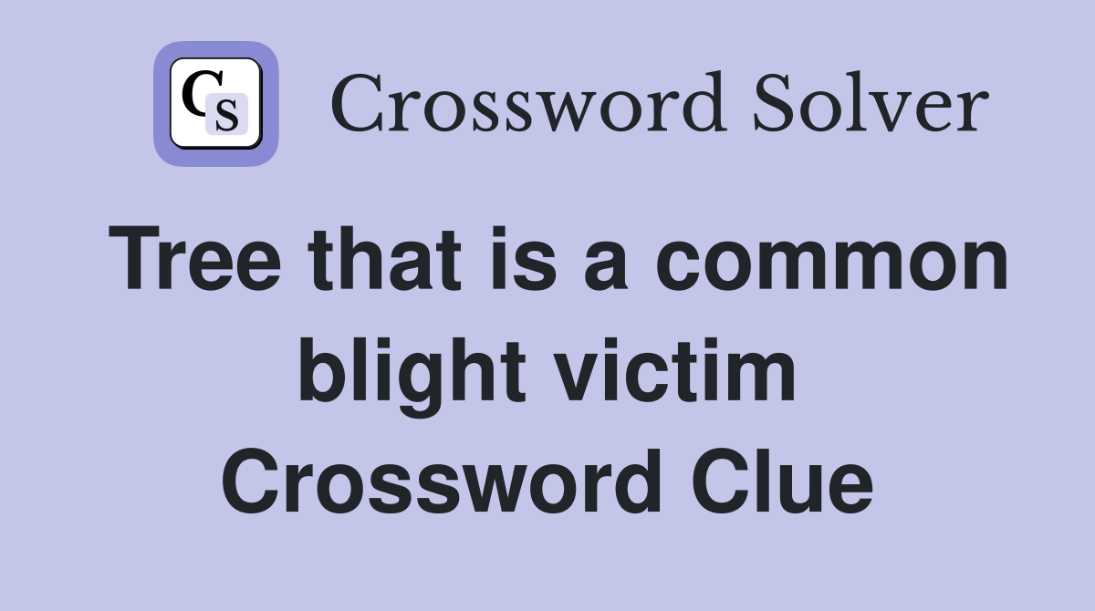 Tree that is a common blight victim Crossword Clue