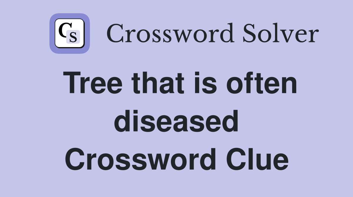 Tree that is often diseased Crossword Clue