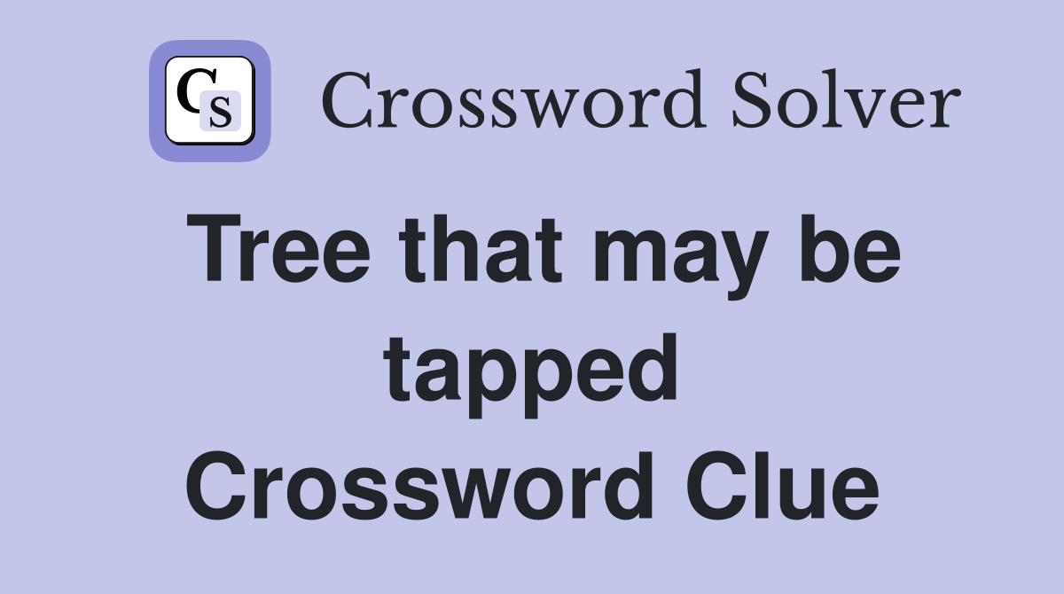 Tree that may be tapped Crossword Clue
