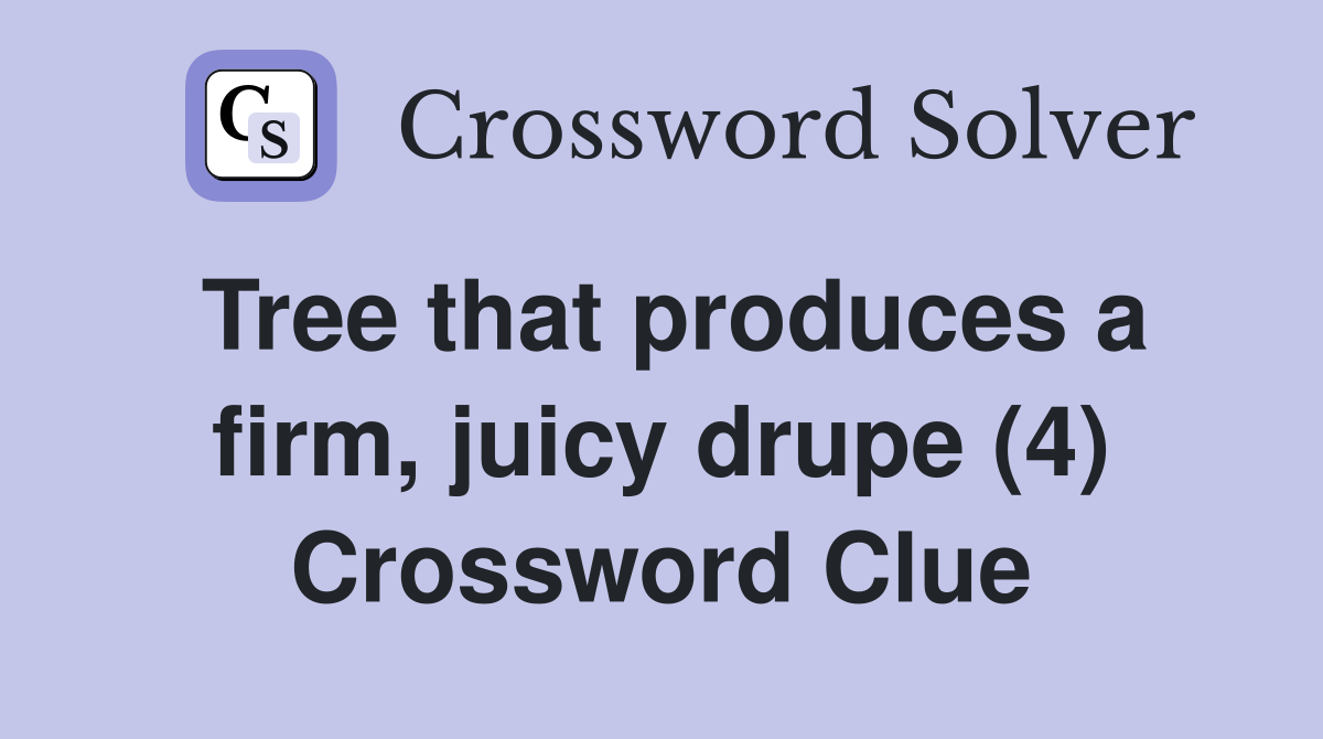 Tree that produces a firm, juicy drupe (4) Crossword Clue