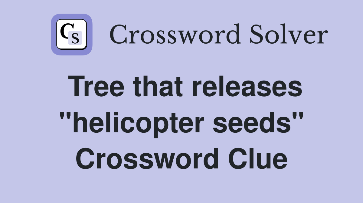 Tree that releases "helicopter seeds" Crossword Clue