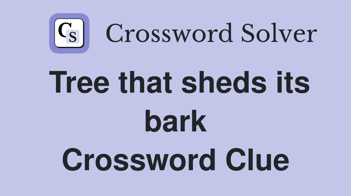 Tree that sheds its bark Crossword Clue