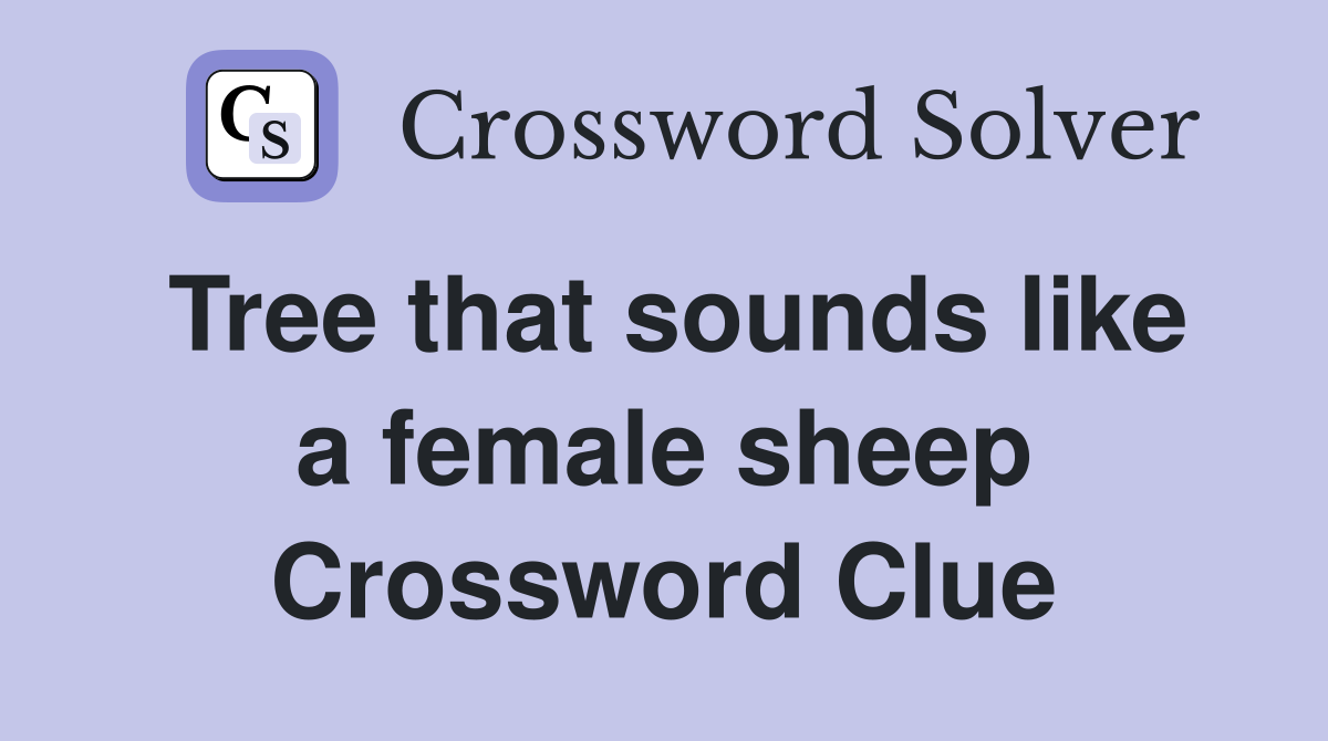 Tree that sounds like a female sheep Crossword Clue