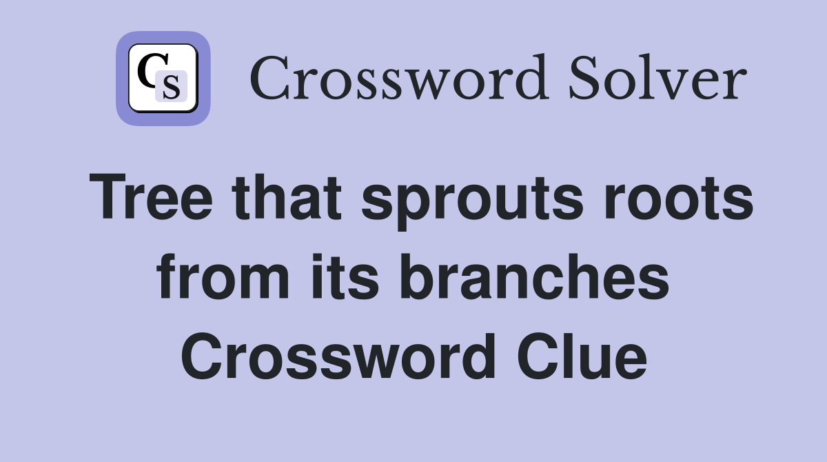 Tree that sprouts roots from its branches Crossword Clue