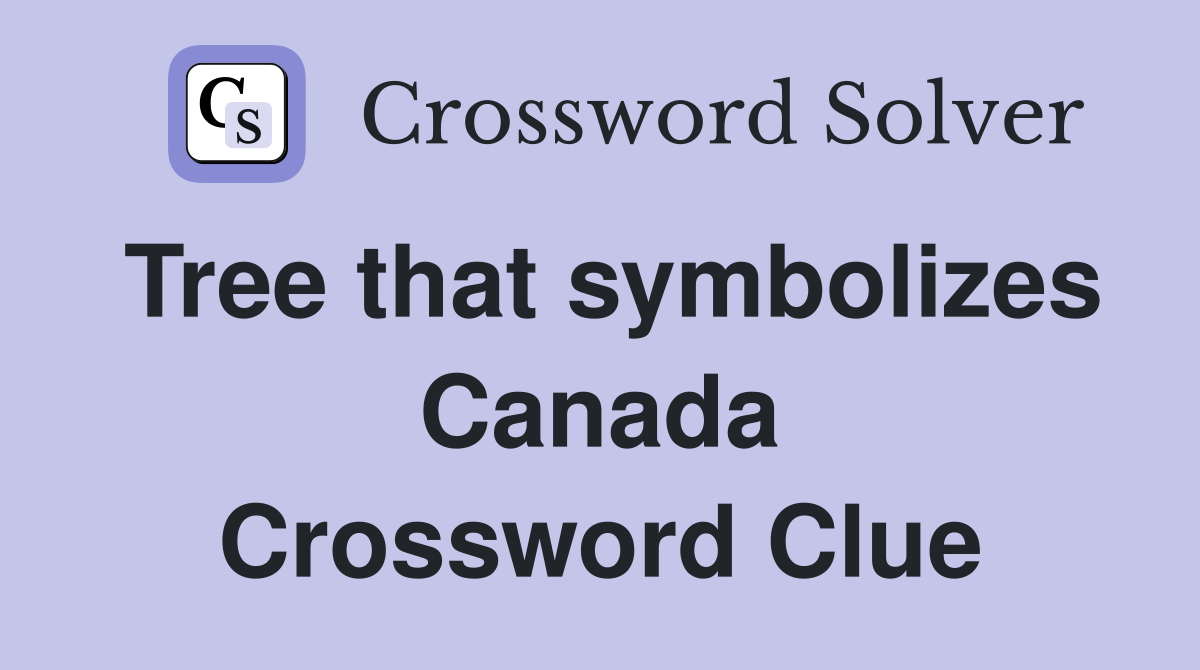Tree that symbolizes Canada Crossword Clue