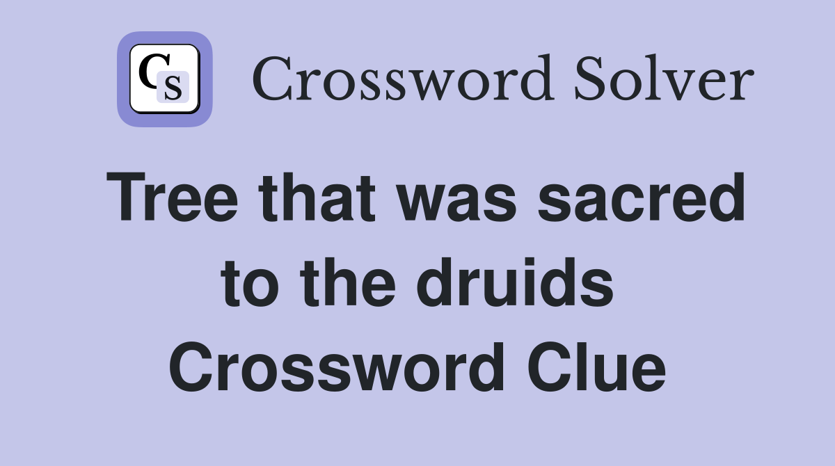 Tree that was sacred to the druids Crossword Clue