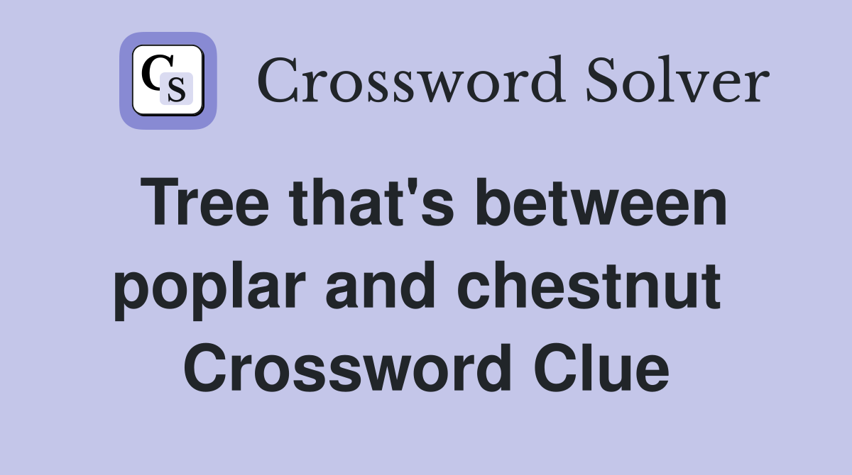 Tree that's between poplar and chestnut  Crossword Clue