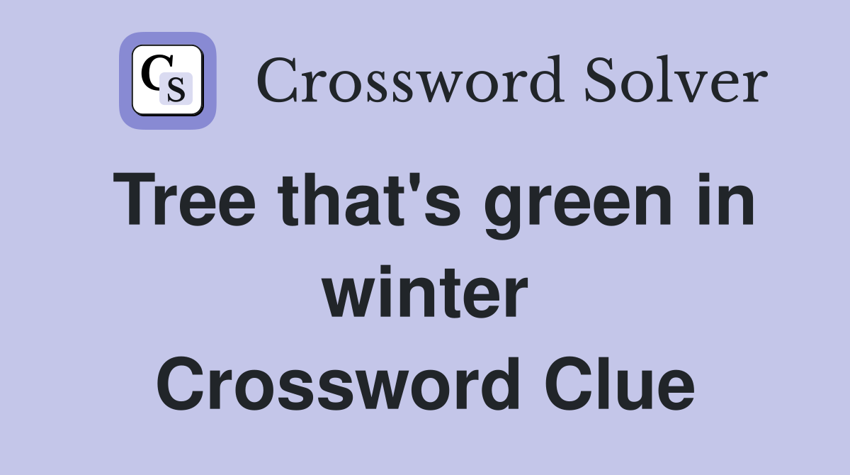 Tree that's green in winter Crossword Clue