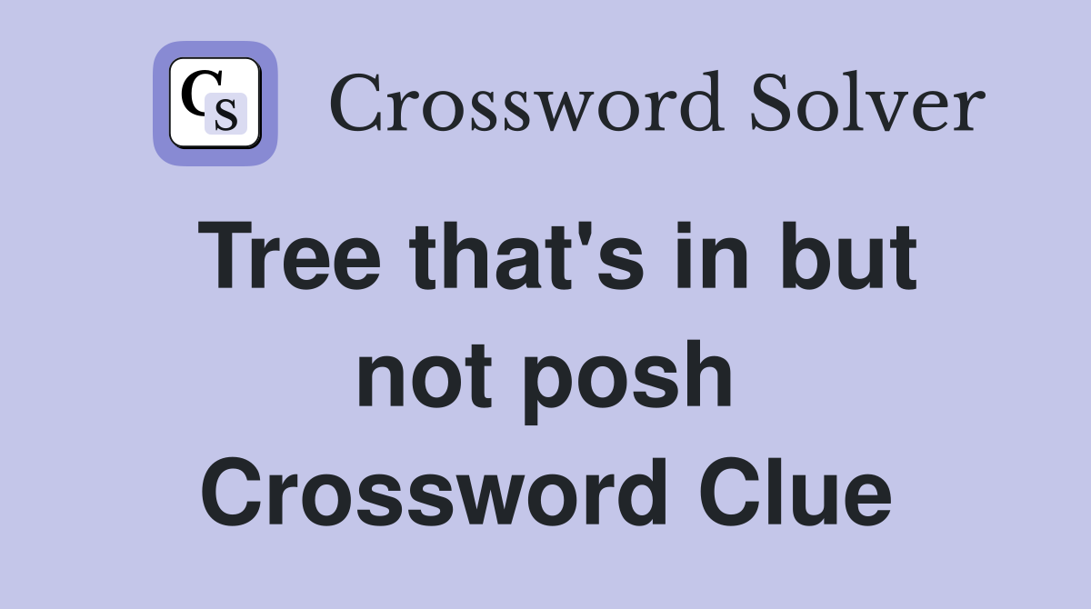 Tree that's in but not posh Crossword Clue