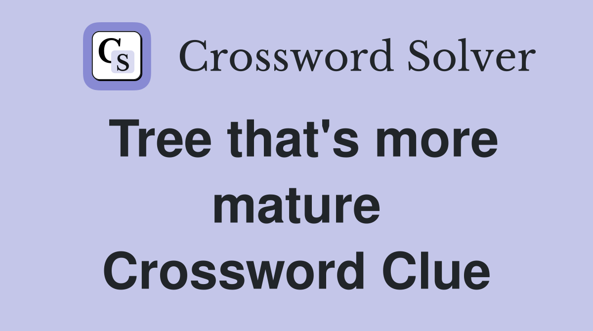 Tree that's more mature Crossword Clue