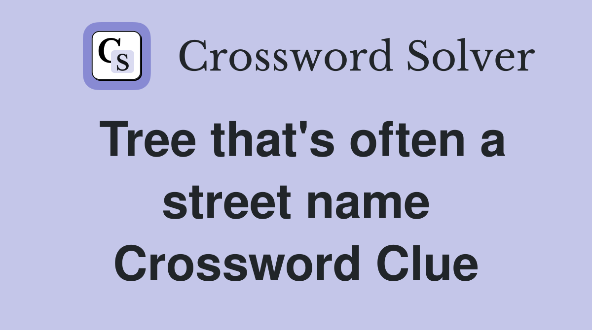Tree that's often a street name Crossword Clue
