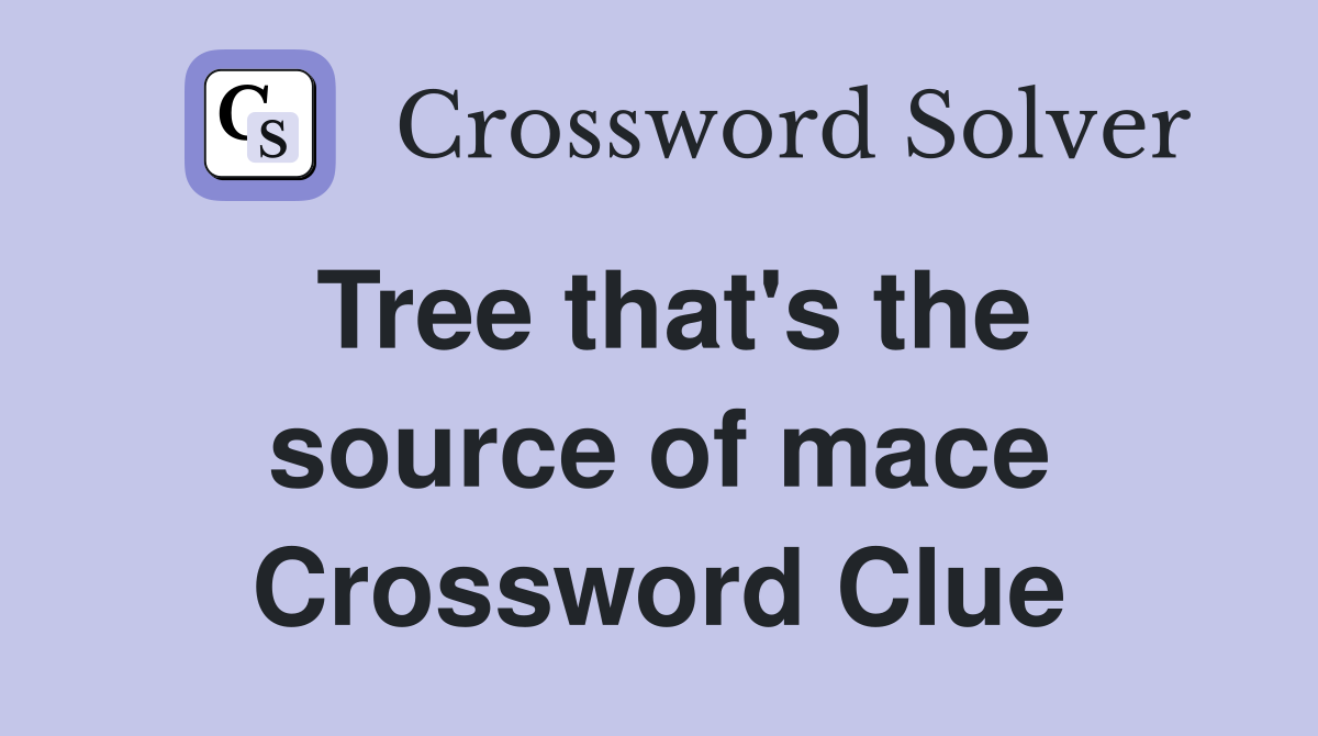 Tree that's the source of mace Crossword Clue