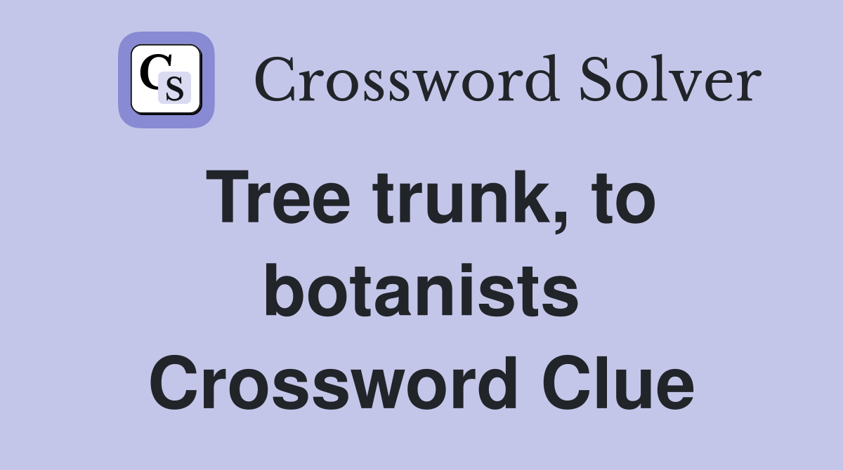 Tree trunk, to botanists Crossword Clue