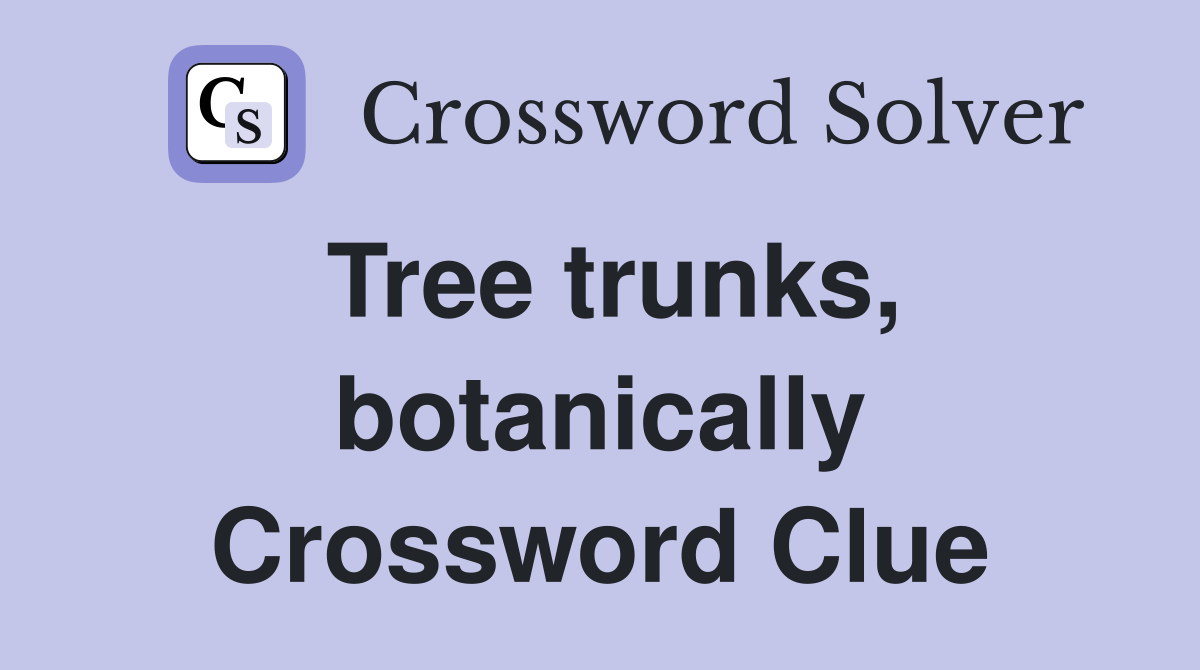 Tree trunks, botanically Crossword Clue