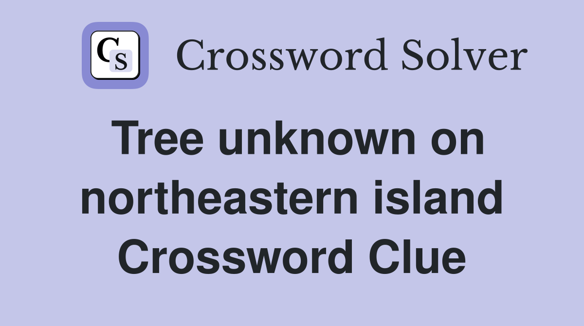 Tree unknown on northeastern island Crossword Clue