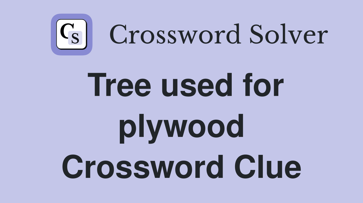 Tree used for plywood Crossword Clue