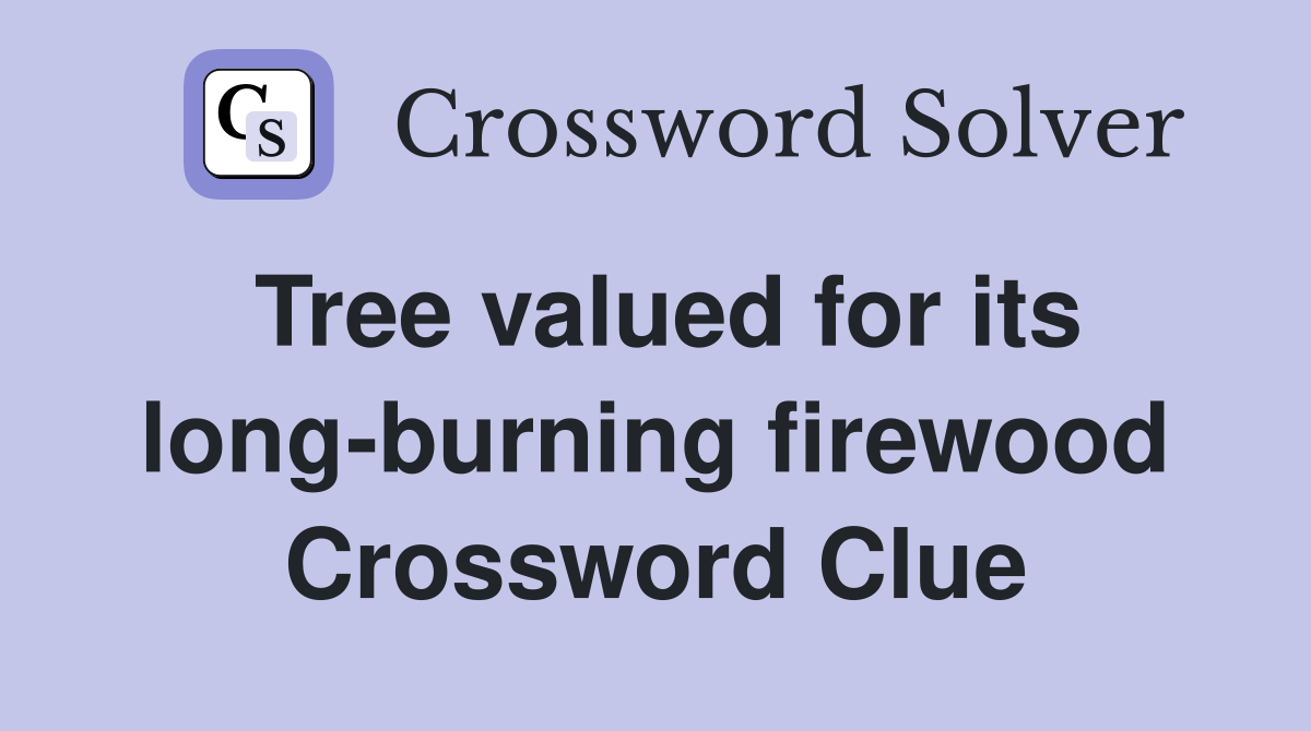 Tree valued for its long-burning firewood Crossword Clue