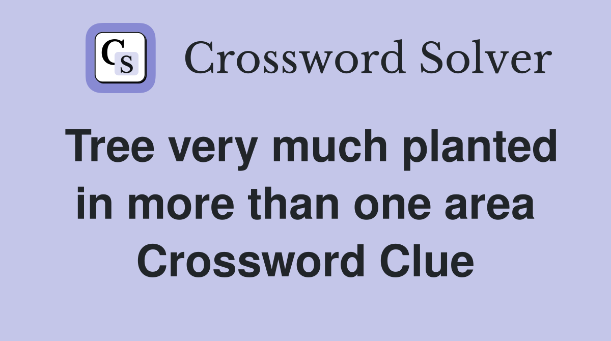 Tree very much planted in more than one area Crossword Clue