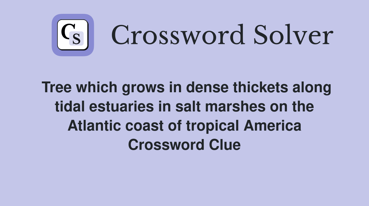 Tree which grows in dense thickets along tidal estuaries in salt marshes on the Atlantic coast of tropical America Crossword Clue