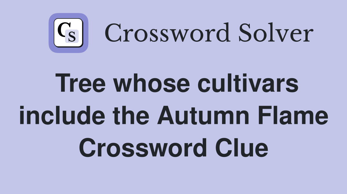 Tree whose cultivars include the Autumn Flame Crossword Clue