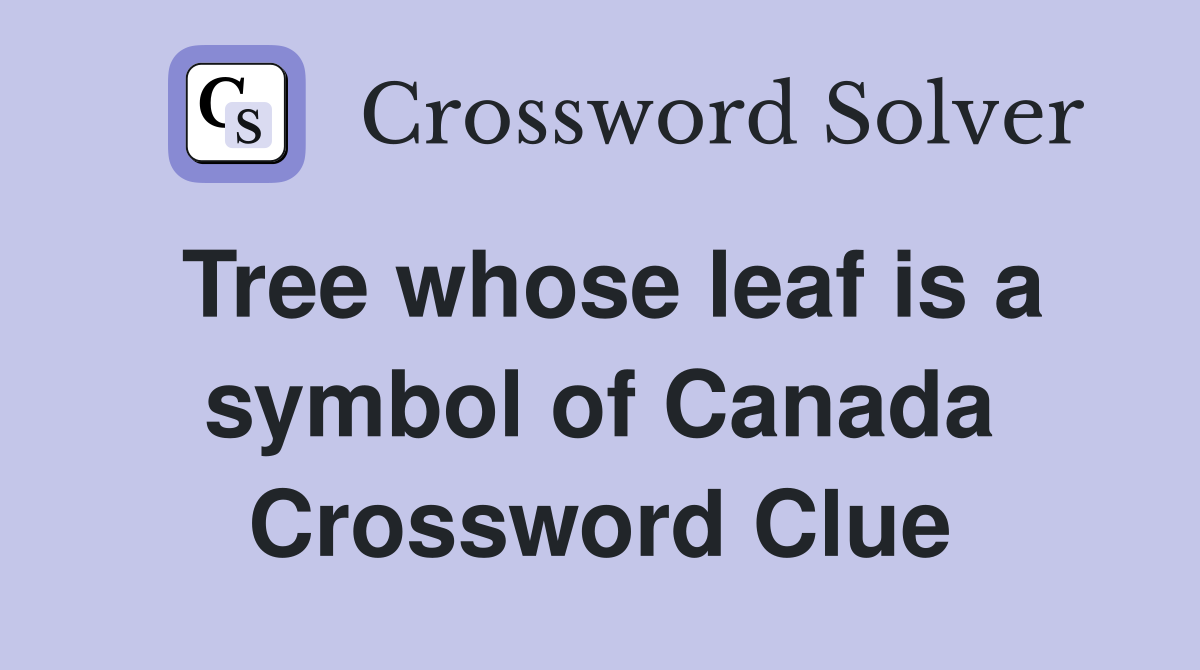 Tree whose leaf is a symbol of Canada Crossword Clue
