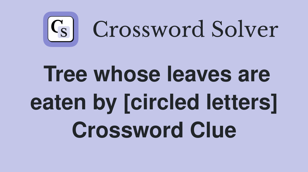 Tree whose leaves are eaten by [circled letters] Crossword Clue