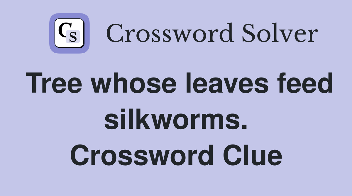 Tree whose leaves feed silkworms. Crossword Clue