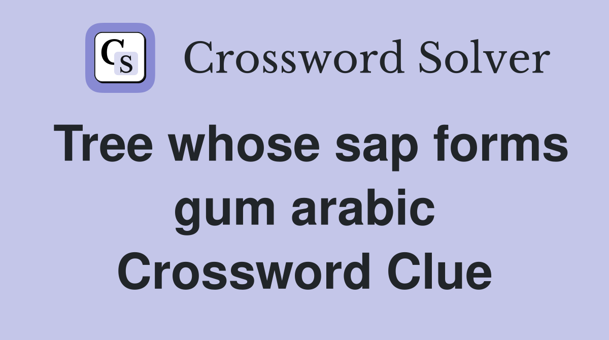 Tree whose sap forms gum arabic Crossword Clue