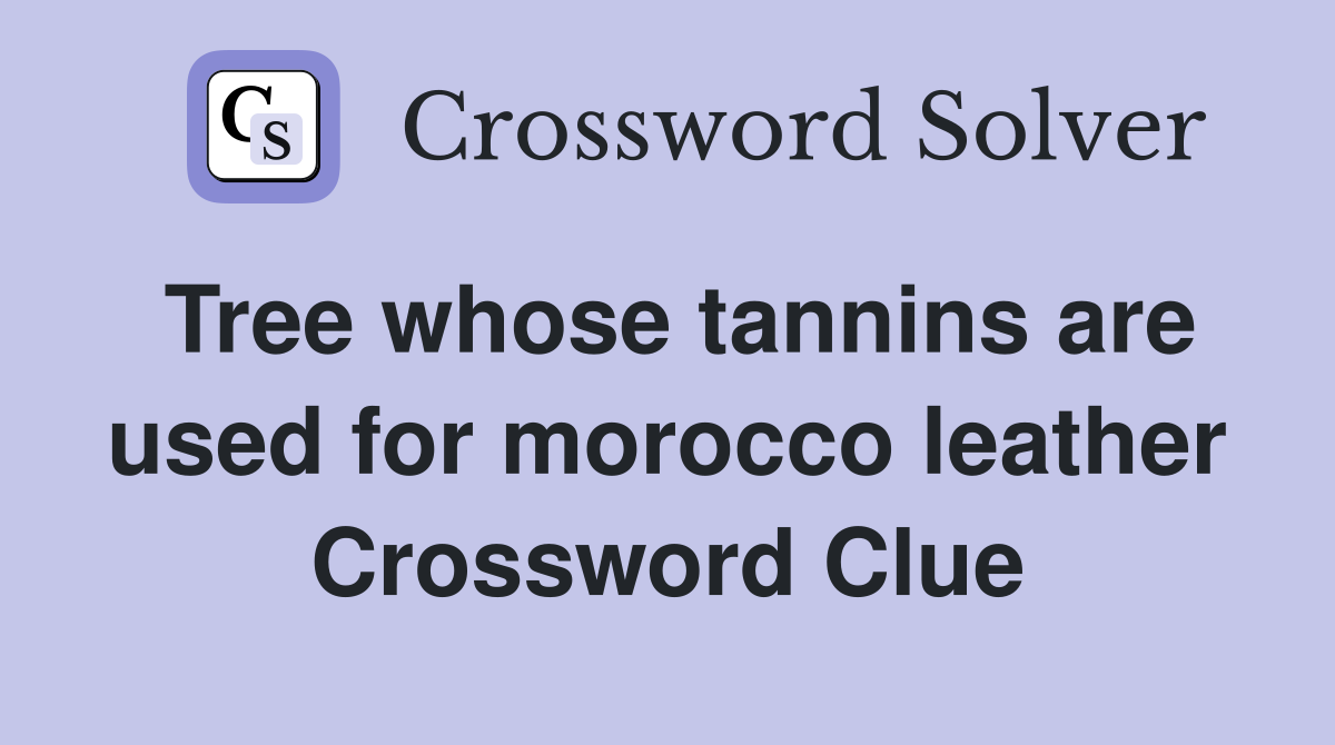 Tree whose tannins are used for morocco leather Crossword Clue