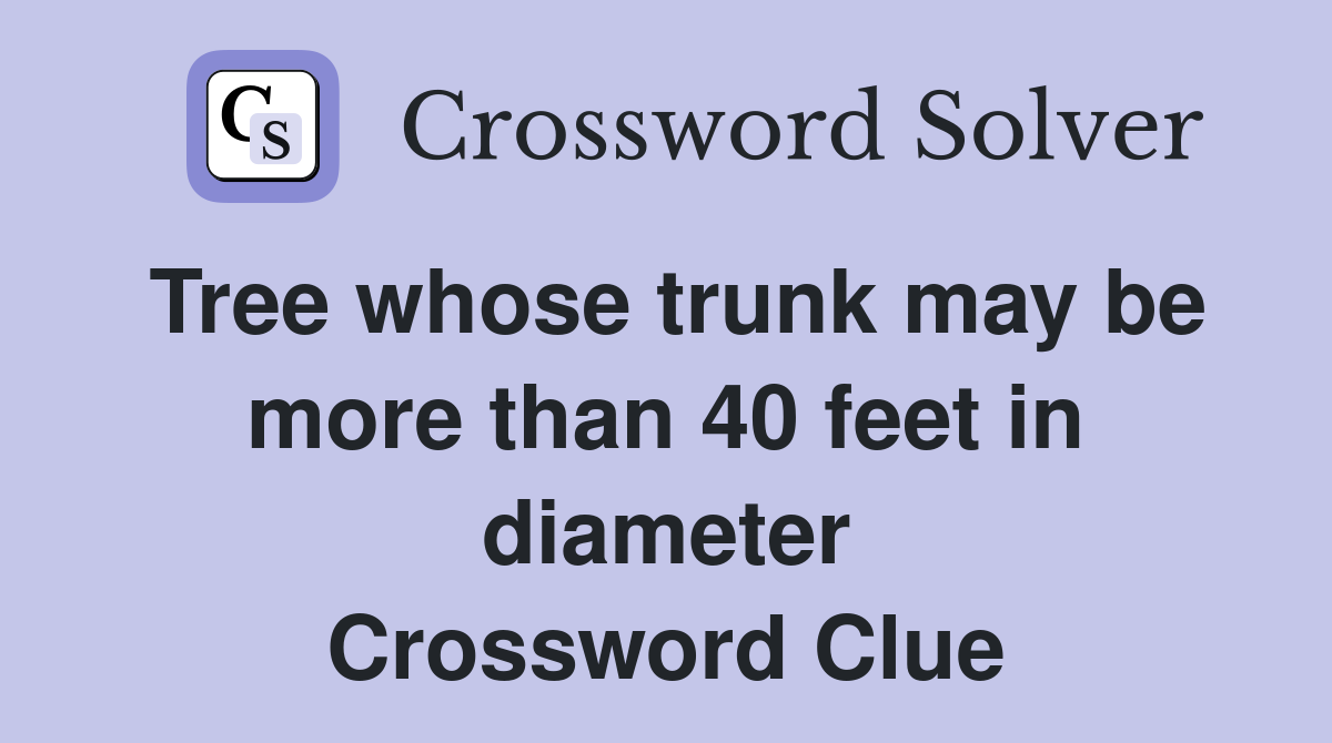 Tree whose trunk may be more than 40 feet in diameter Crossword Clue