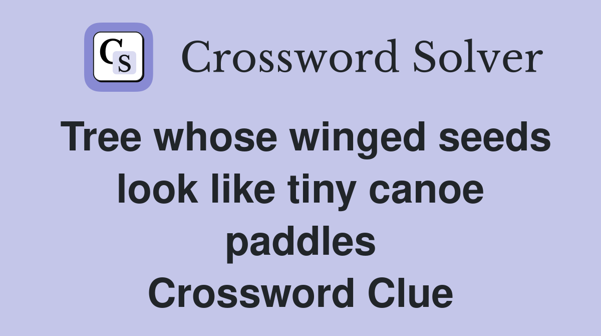 Tree whose winged seeds look like tiny canoe paddles Crossword Clue