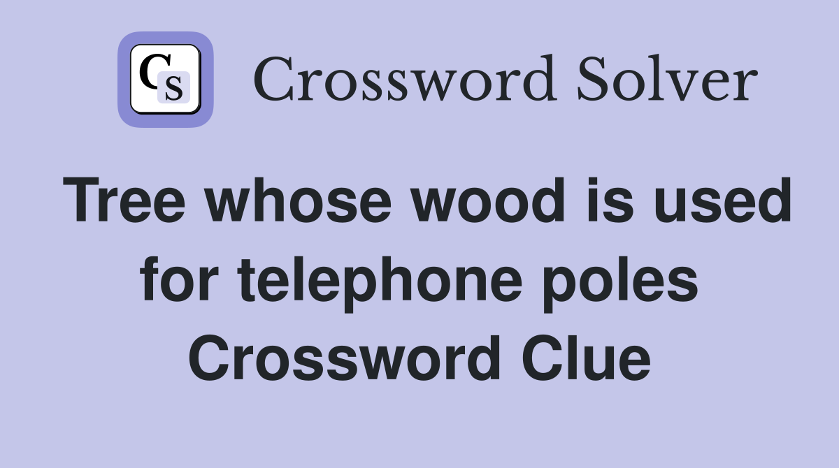 Tree whose wood is used for telephone poles Crossword Clue