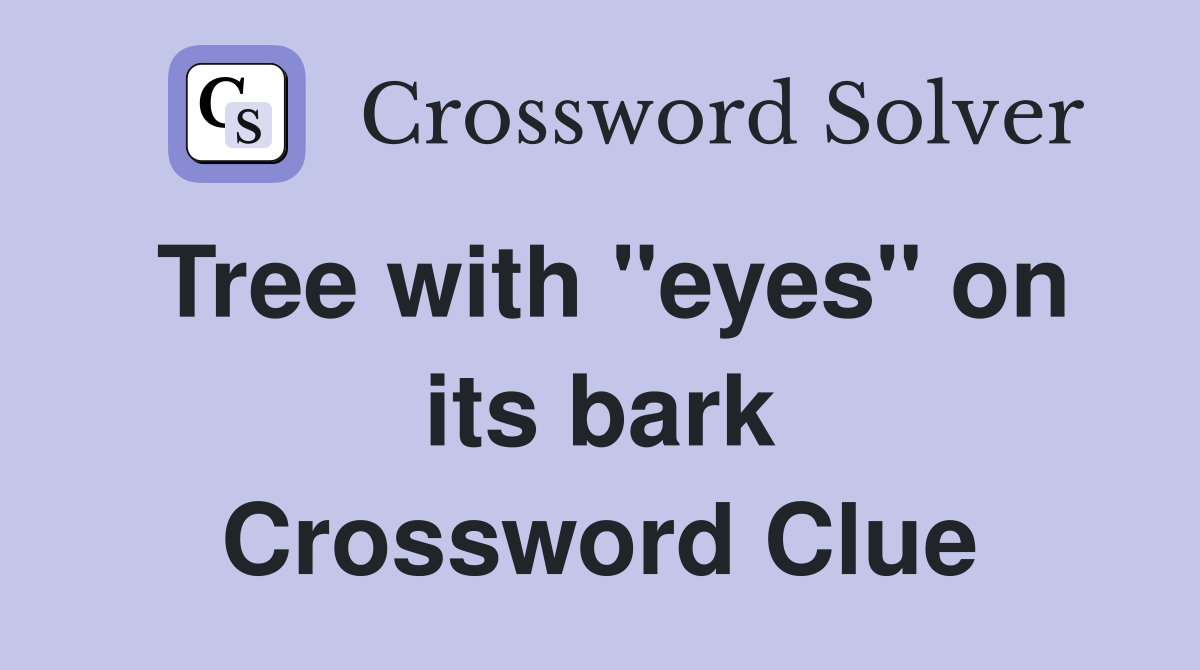 Tree with "eyes" on its bark Crossword Clue