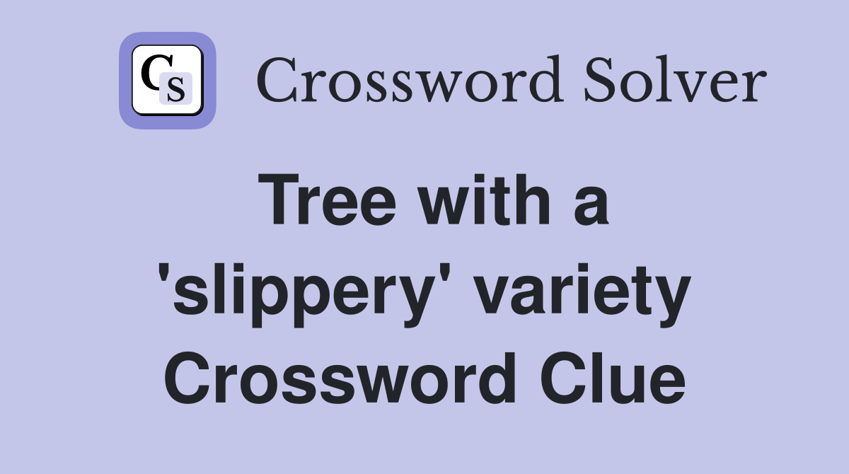 Tree with a 'slippery' variety Crossword Clue