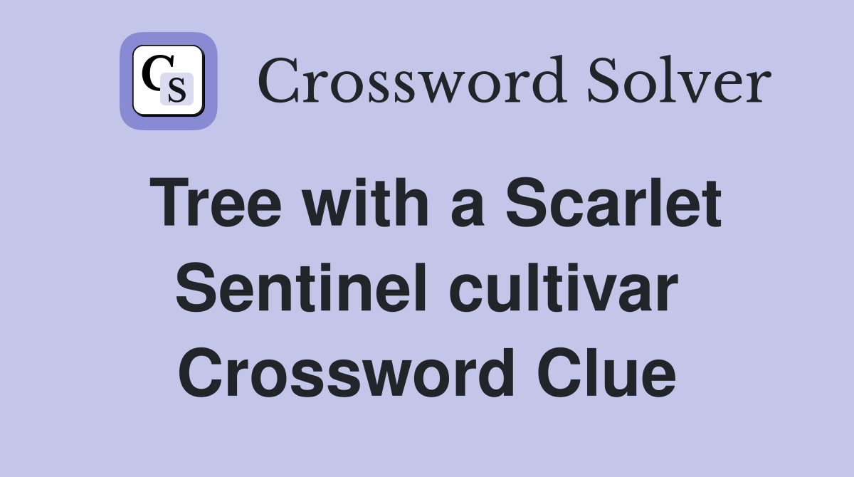 Tree with a Scarlet Sentinel cultivar Crossword Clue