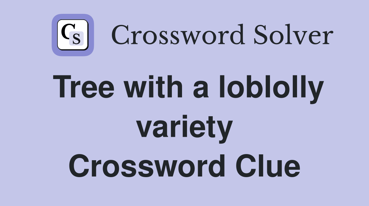 Tree with a loblolly variety Crossword Clue