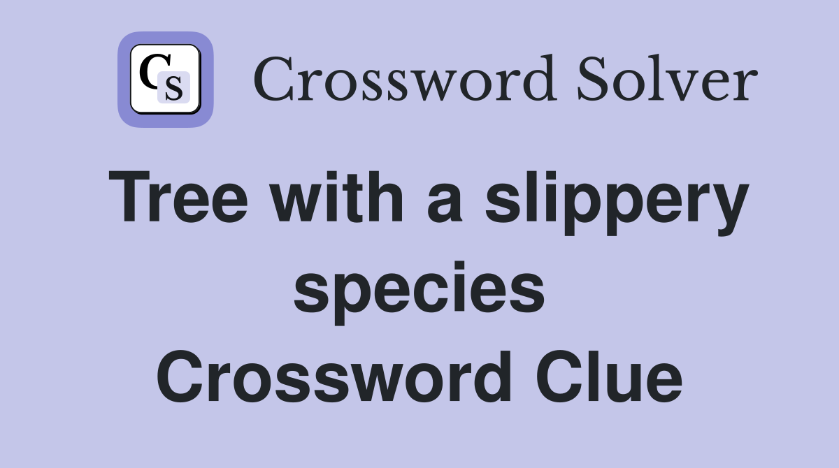 Tree with a slippery species Crossword Clue