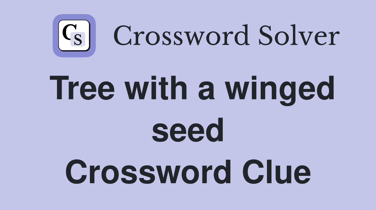 Tree with a winged seed Crossword Clue