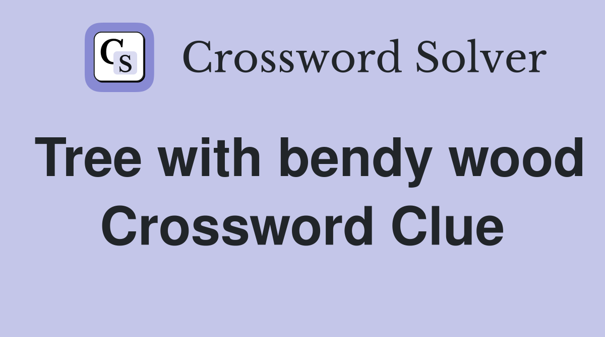 Tree with bendy wood Crossword Clue