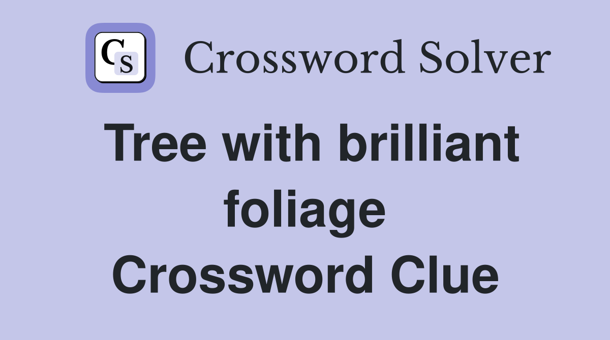 Tree with brilliant foliage Crossword Clue
