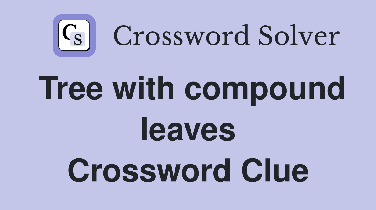 Tree with compound leaves Crossword Clue