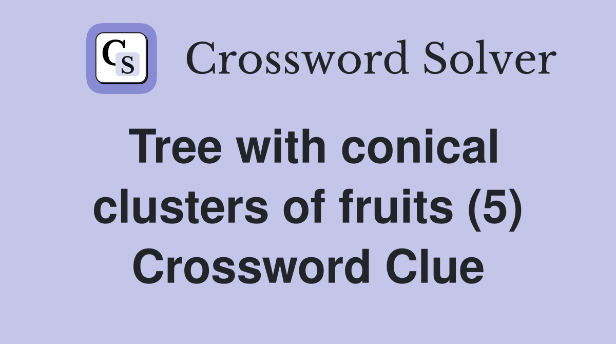 Tree with conical clusters of fruits (5) Crossword Clue