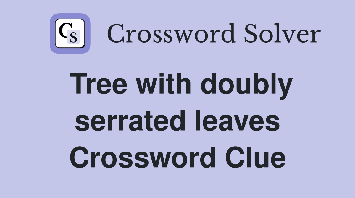 Tree with doubly serrated leaves Crossword Clue