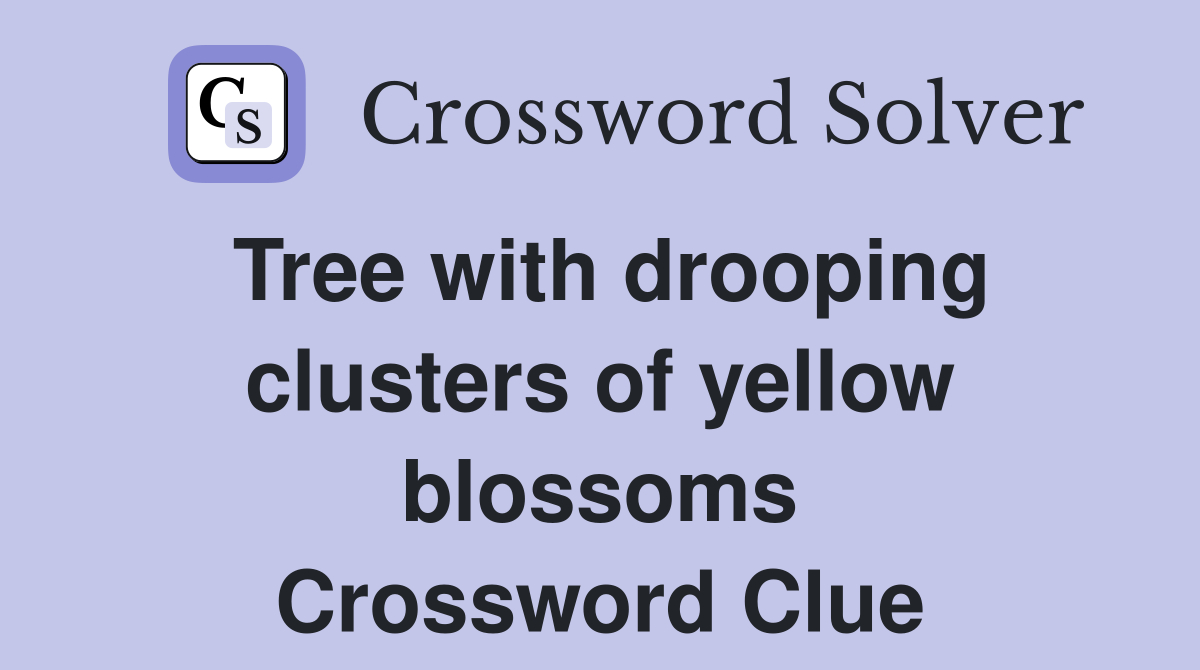 Tree with drooping clusters of yellow blossoms Crossword Clue