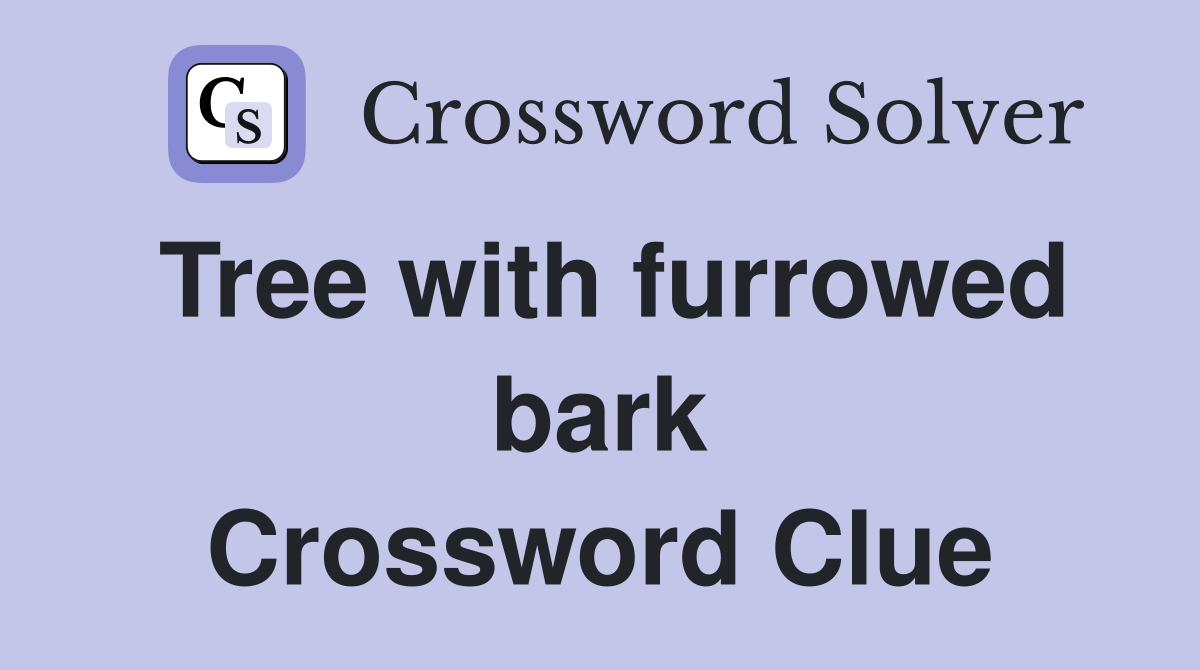 Tree with furrowed bark Crossword Clue