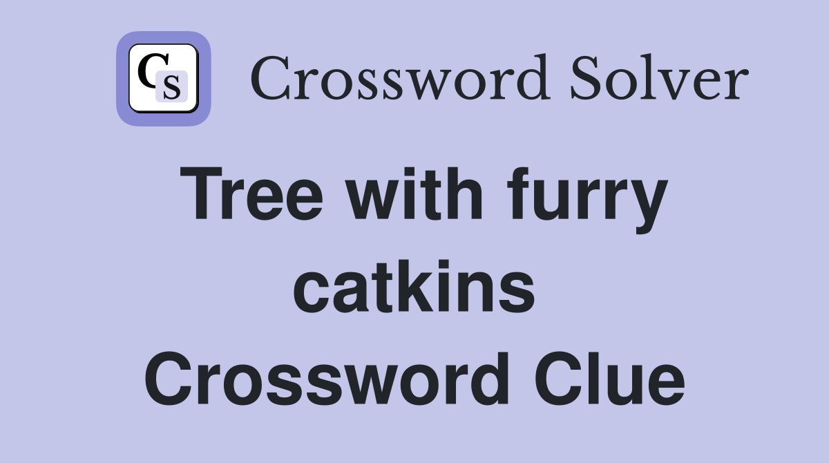 Tree with furry catkins Crossword Clue