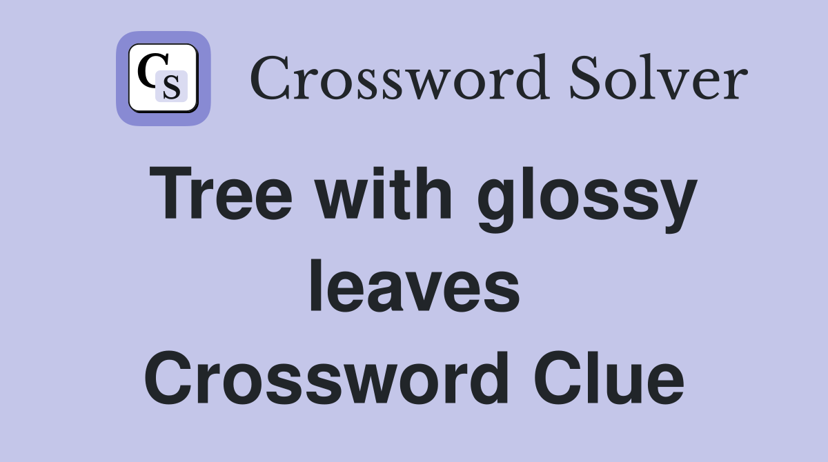 Tree with glossy leaves Crossword Clue